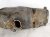 2000 Toyota Tacoma Gas / Fuel Tank 77001 04040 Replacement 2000 Toyota Tacoma Gas / Fuel Tank 77001 04040 Replacement thumbnail