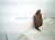 2020 Acura MDX Rear / Back (3rd Row) 3rd Row Passenger Upper Seat Brown Lthr 82127 TZ5 A01 Replacement 2020 Acura MDX Rear / Back (3rd Row) 3rd Row Passenger Upper Seat Brown Lthr 82127 TZ5 A01 Replacement thumbnail