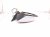 2024 Subaru WRX Rear Driver Side View Mirror White 91036VC422 Replacement 2024 Subaru WRX Rear Driver Side View Mirror White 91036VC422 Replacement thumbnail