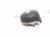 2024 Subaru WRX Driver Wheel Airbag 98211VC000VH Replacement 2024 Subaru WRX Driver Wheel Airbag 98211VC000VH Replacement thumbnail