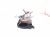 2024 Subaru WRX Airbag Driver Knee Air Bag 98301VC010VH Replacement 2024 Subaru WRX Airbag Driver Knee Air Bag 98301VC010VH Replacement thumbnail