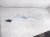 2024 Subaru WRX Passenger Roof Curtain Airbag 98251VC060 Replacement 2024 Subaru WRX Passenger Roof Curtain Airbag 98251VC060 Replacement thumbnail