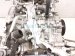 2024 Subaru WRX Long Block Engine / Motor = 23k Mi 11010AB600 Replacement 2024 Subaru WRX Long Block Engine / Motor = 23k Mi 11010AB600 Replacement thumbnail
