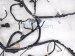 2024 Honda HR V Dash Instrument Wire Harness Sport 32117 3W1 A10 Replacement 2024 Honda HR V Dash Instrument Wire Harness Sport 32117 3W1 A10 Replacement thumbnail