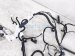 2024 Honda HR V Dash Instrument Wire Harness Sport 32117 3W1 A10 Replacement 2024 Honda HR V Dash Instrument Wire Harness Sport 32117 3W1 A10 Replacement thumbnail