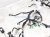 2024 Honda HR V Dash Instrument Wire Harness Sport 32117 3W1 A10 Replacement 2024 Honda HR V Dash Instrument Wire Harness Sport 32117 3W1 A10 Replacement thumbnail