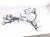 2024 Acura Integra Dash Instrument Wire Harness Types 32117 31M A00 Replacement 2024 Acura Integra Dash Instrument Wire Harness Types 32117 31M A00 Replacement thumbnail