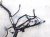 2024 Acura Integra Dash Instrument Wire Harness Types 32117 31M A00 Replacement 2024 Acura Integra Dash Instrument Wire Harness Types 32117 31M A00 Replacement thumbnail