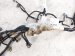 2024 Acura Integra Dash Instrument Wire Harness Types 32117 31M A00 Replacement 2024 Acura Integra Dash Instrument Wire Harness Types 32117 31M A00 Replacement thumbnail