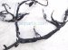 2023 Honda Ridgeline Instrument Panel Harness 3.5l Awd 32117 T6Z AK0 Replacement 2023 Honda Ridgeline Instrument Panel Harness 3.5l Awd 32117 T6Z AK0 Replacement thumbnail