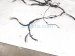 2023 Honda Ridgeline Instrument Panel Harness 3.5l Awd 32117 T6Z AK0 Replacement 2023 Honda Ridgeline Instrument Panel Harness 3.5l Awd 32117 T6Z AK0 Replacement thumbnail