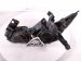 2020 Infiniti Qx60 Headlight Passenger Headlamp / Light Needs Polish 26010 9NR0B Replacement 2020 Infiniti Qx60 Headlight Passenger Headlamp / Light Needs Polish 26010 9NR0B Replacement thumbnail