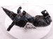 2020 Infiniti Qx60 Headlight Driver Headlamp / Light Needs Polish 26060 9NR0B Replacement 2020 Infiniti Qx60 Headlight Driver Headlamp / Light Needs Polish 26060 9NR0B Replacement thumbnail