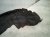 2021 Nissan Rogue Rear Driver Inner Fender Liner 76749 6RR0B Replacement 2021 Nissan Rogue Rear Driver Inner Fender Liner 76749 6RR0B Replacement thumbnail