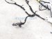 2022 Honda Civic Dash Instrument Wire Harness Sport 32117 T23 A30 Replacement 2022 Honda Civic Dash Instrument Wire Harness Sport 32117 T23 A30 Replacement thumbnail