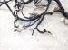 2021 Acura ILX Dash Instrument Wire Harness a spec 32117 TX6 A13 Replacement 2021 Acura ILX Dash Instrument Wire Harness a spec 32117 TX6 A13 Replacement thumbnail