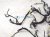 2021 Acura ILX Dash Instrument Wire Harness a spec 32117 TX6 A13 Replacement 2021 Acura ILX Dash Instrument Wire Harness a spec 32117 TX6 A13 Replacement thumbnail