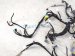 2021 Acura ILX Dash Instrument Wire Harness a spec 32117 TX6 A13 Replacement 2021 Acura ILX Dash Instrument Wire Harness a spec 32117 TX6 A13 Replacement thumbnail