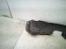 2025 Honda Civic Front Driver Inner Fender Liner 74150 T56 A00 Replacement 2025 Honda Civic Front Driver Inner Fender Liner 74150 T56 A00 Replacement thumbnail