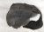 2024 Honda Prologue Front Driver Inner Fender Liner Replacement 2024 Honda Prologue Front Driver Inner Fender Liner Replacement thumbnail