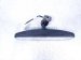 2024 Honda Pilot Inside / Interior Rear View Mirror 76400 T90 A01 Replacement 2024 Honda Pilot Inside / Interior Rear View Mirror 76400 T90 A01 Replacement thumbnail