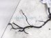 2025 Honda Civic Dash Instrument Wire Harness Si 32117 T38 A00 Replacement 2025 Honda Civic Dash Instrument Wire Harness Si 32117 T38 A00 Replacement thumbnail