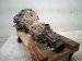 2000 Toyota Tacoma Manual Transmission = 65k Mi 33030 3D410 Replacement 2000 Toyota Tacoma Manual Transmission = 65k Mi 33030 3D410 Replacement thumbnail