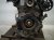 2019 Honda Accord Long Block Engine / Motor = 83k Mi * 10002 6B2 A03 Replacement 2019 Honda Accord Long Block Engine / Motor = 83k Mi * 10002 6B2 A03 Replacement thumbnail