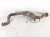 2011 Porsche Panamera Driver Catalytic Converter 4.8l Awd 970 113 349 HX Replacement 2011 Porsche Panamera Driver Catalytic Converter 4.8l Awd 970 113 349 HX Replacement thumbnail