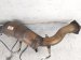 2011 Porsche Panamera Driver Catalytic Converter 4.8l Awd 970 113 349 HX Replacement 2011 Porsche Panamera Driver Catalytic Converter 4.8l Awd 970 113 349 HX Replacement thumbnail