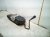 2021 Nissan Rogue Gas / Fuel Tank Sv 2.5l Fwd 17202 6RR0A Replacement 2021 Nissan Rogue Gas / Fuel Tank Sv 2.5l Fwd 17202 6RR0A Replacement thumbnail