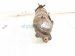2025 Honda Civic Exhaust Manifold 1.5t M.t Fwd 18150 64A L00 Replacement 2025 Honda Civic Exhaust Manifold 1.5t M.t Fwd 18150 64A L00 Replacement thumbnail