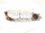 2025 Honda Civic Exhaust Manifold 1.5t M.t Fwd 18150 64A L00 Replacement 2025 Honda Civic Exhaust Manifold 1.5t M.t Fwd 18150 64A L00 Replacement thumbnail