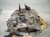2014 Toyota Prius Automatic Transmission = 0 Mi 30900 47084 Replacement 2014 Toyota Prius Automatic Transmission = 0 Mi 30900 47084 Replacement thumbnail