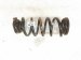 2025 Honda Civic Strut / / Shock Absorber Rear Driver Coil Spring Only Si 52441 T22 A02 Replacement 2025 Honda Civic Strut / / Shock Absorber Rear Driver Coil Spring Only Si 52441 T22 A02 Replacement thumbnail