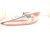 2020 Toyota Camry Light / Rear Passenger Tail Lamp (on Body) 81550 06720 Replacement 2020 Toyota Camry Light / Rear Passenger Tail Lamp (on Body) 81550 06720 Replacement thumbnail