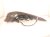 2020 Toyota Camry Light / Rear Driver Tail Lamp (on Body) 81560 06720 Replacement 2020 Toyota Camry Light / Rear Driver Tail Lamp (on Body) 81560 06720 Replacement thumbnail