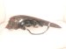 2020 Toyota Camry Light / Rear Driver Tail Lamp (on Body) 81560 06720 Replacement 2020 Toyota Camry Light / Rear Driver Tail Lamp (on Body) 81560 06720 Replacement thumbnail