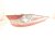 2020 Toyota Camry Light / Rear Driver Tail Lamp (on Body) 81560 06720 Replacement 2020 Toyota Camry Light / Rear Driver Tail Lamp (on Body) 81560 06720 Replacement thumbnail