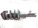 Sold 2020 Toyota Camry Front Passenger Strut Absorber + Spring 48510 8Z567 Replacement Sold 2020 Toyota Camry Front Passenger Strut Absorber + Spring 48510 8Z567 Replacement thumbnail