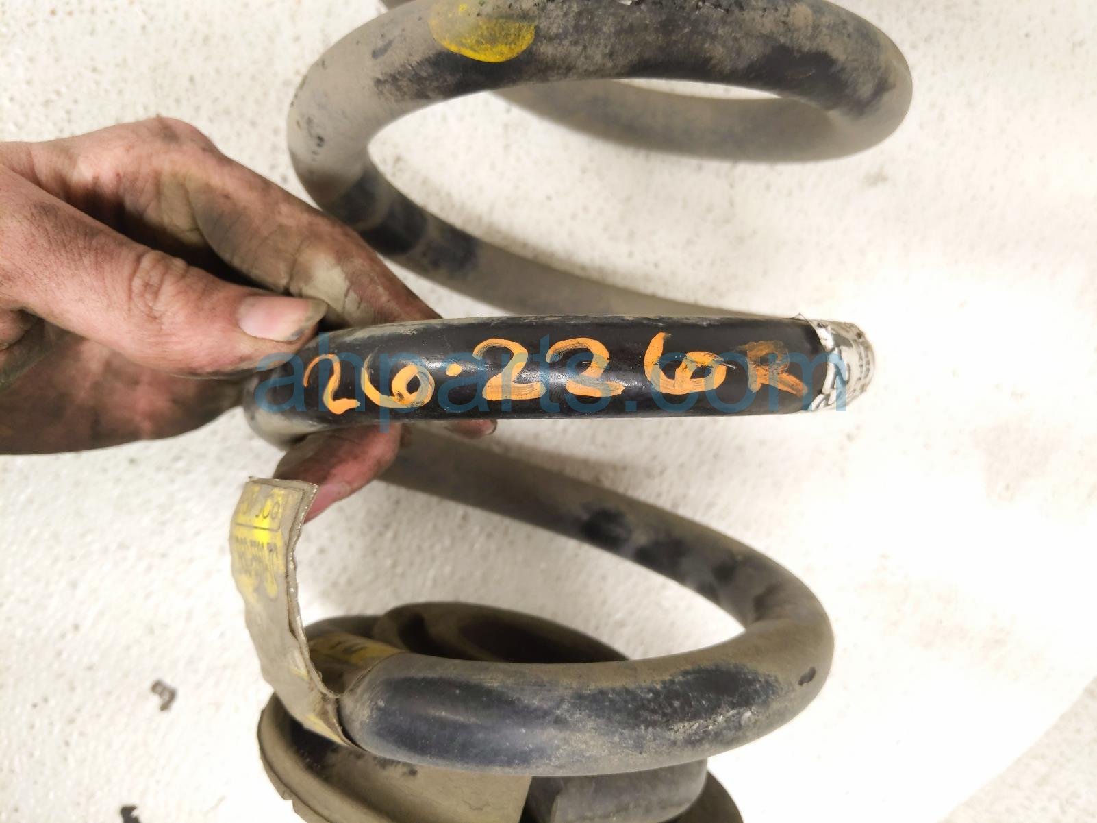 2020 Ford Explorer Strut / / Shock Absorber Rear Coil Spring Awd LB5Z 5560 R Replacement 2020 Ford Explorer Strut / / Shock Absorber Rear Coil Spring Awd LB5Z 5560 R Replacement thumbnail