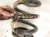 2020 Ford Explorer Strut / / Shock Absorber Rear Coil Spring Awd LB5Z 5560 R Replacement 2020 Ford Explorer Strut / / Shock Absorber Rear Coil Spring Awd LB5Z 5560 R Replacement thumbnail