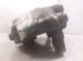 2024 Toyota Tacoma Front Driver Brake Caliper 47750 04110 Replacement 2024 Toyota Tacoma Front Driver Brake Caliper 47750 04110 Replacement thumbnail