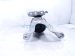2024 Honda HR V Engine/motor Passenger Engine Mount 2.0l Fwd Sport 50820 T21 A12 Replacement 2024 Honda HR V Engine/motor Passenger Engine Mount 2.0l Fwd Sport 50820 T21 A12 Replacement thumbnail