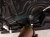2023 Acura MDX Rear Passenger Door Black No Inside Trim 67510 TYB A00ZZ Replacement 2023 Acura MDX Rear Passenger Door Black No Inside Trim 67510 TYB A00ZZ Replacement thumbnail