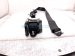 2023 Acura MDX Front Passenger Seat Belt Black 04814 TYA A00ZC Replacement 2023 Acura MDX Front Passenger Seat Belt Black 04814 TYA A00ZC Replacement thumbnail