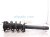 2023 Acura MDX Front Passenger Strut Absorber + Spring 51611 TYA A11 Replacement 2023 Acura MDX Front Passenger Strut Absorber + Spring 51611 TYA A11 Replacement thumbnail