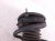 2024 Mazda Cx 50 Front Passenger Strut Absorber + Spring VA40 34 700C Replacement 2024 Mazda Cx 50 Front Passenger Strut Absorber + Spring VA40 34 700C Replacement thumbnail