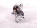 2024 Mazda Cx 50 Starter Motor PX8F 18 400 Replacement 2024 Mazda Cx 50 Starter Motor PX8F 18 400 Replacement thumbnail