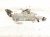 2024 Jeep Grand Cherokee Egr Cooler 3.6l Awd 5281409AG Replacement 2024 Jeep Grand Cherokee Egr Cooler 3.6l Awd 5281409AG Replacement thumbnail